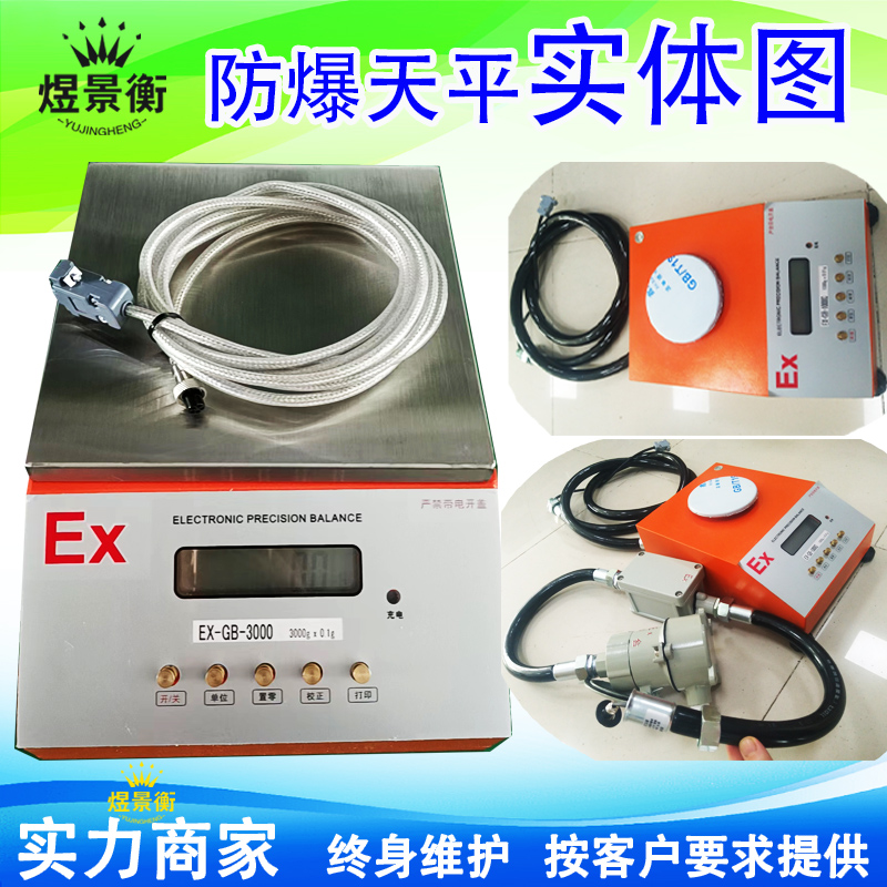 隔爆防爆电子天平 3000g/0.01g 本安型带防爆插头化工制药选型