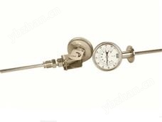 万向、卫生型温度计