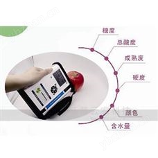 水果品質無損檢測儀