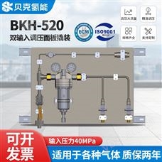 BKH-520高壓氫氣雙輸入調壓面板撬裝設備減壓裝置