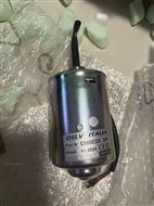 C9900325 意大利OSLV电机，马达，电动机