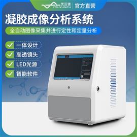 YP-NJ200凝胶成像分析系统