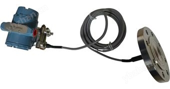 电容式LT单法兰毛细管压力变送器