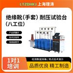 LT-X048-8八工位绝缘靴（手套）耐压试验台