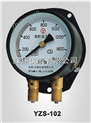 YZS-102双针压力表