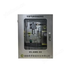 XS-AMK-RTO有机废气治理RTO可燃气体LEL在线监测仪