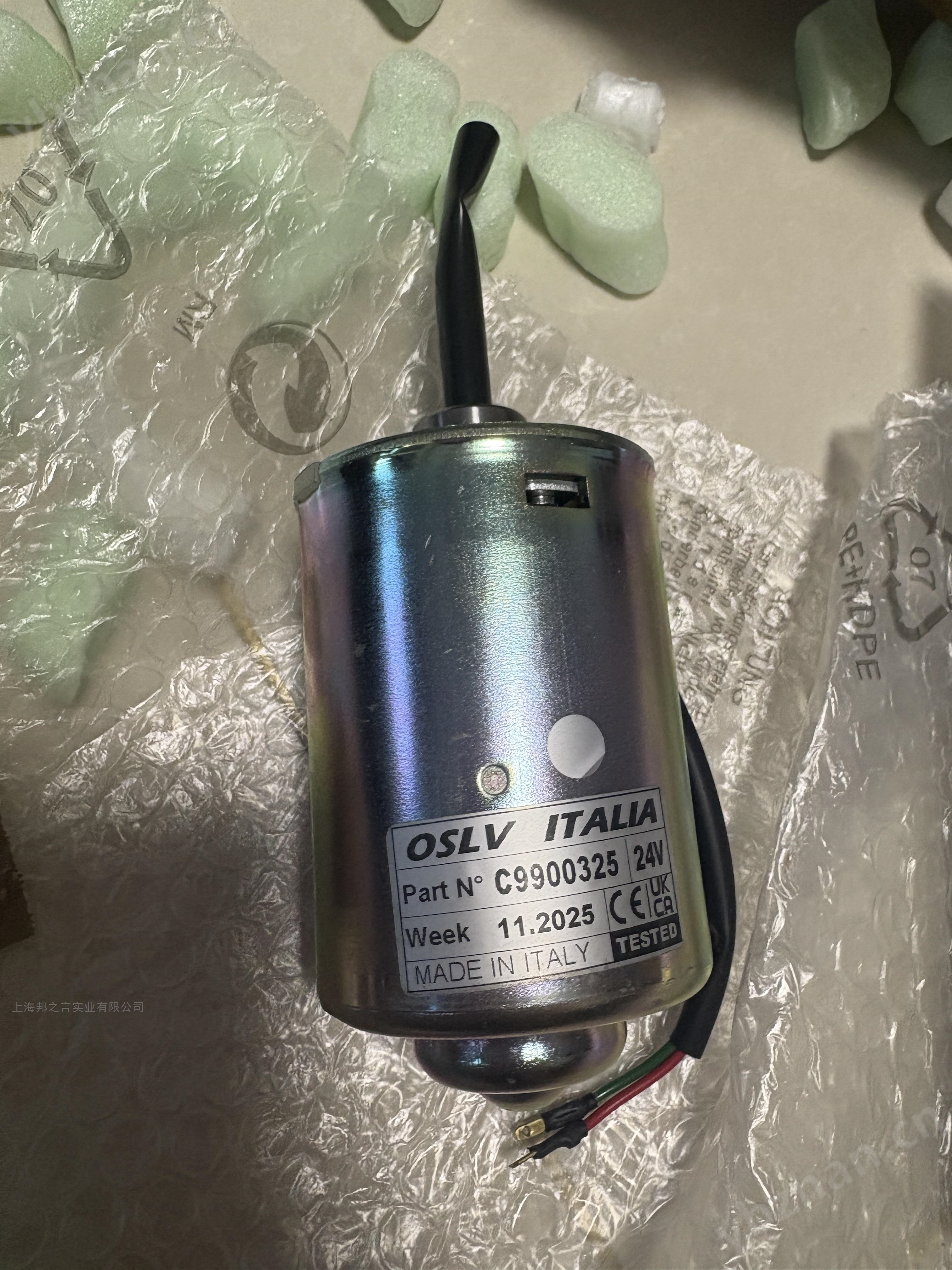 C9900325 意大利OSLV電機，馬達，電動機