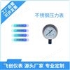 FC-YTF/YTH耐腐耐高温压力表