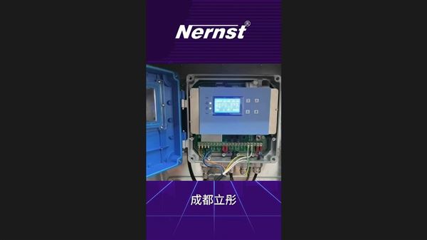 Nernst N6000氧分析儀