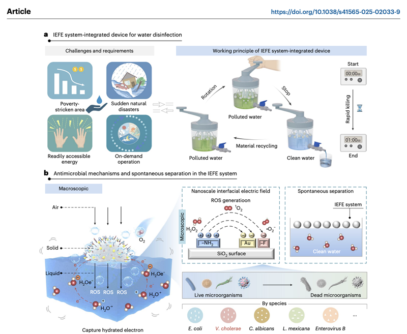 四川大学轻工学院郭俊凌团队联合发文报道绿色低碳净水纳米技术进展
