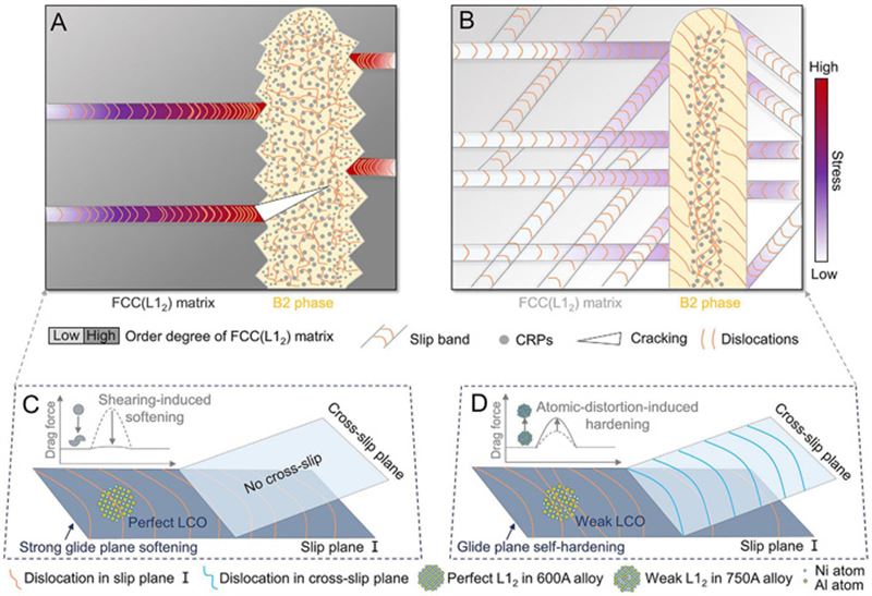金属所发现高熵合金“回火脆性”与“韧-脆-韧”转变机制