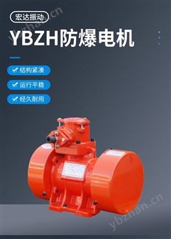 防閉塞裝置 YBZH-40-6防爆振動(dòng)電機(jī)
