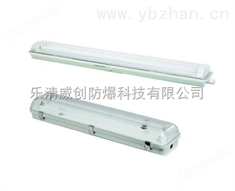 eYD51系列防爆全塑（應急）熒光燈