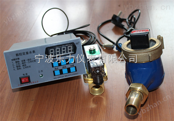LXSD-15S-200S数控定量水表