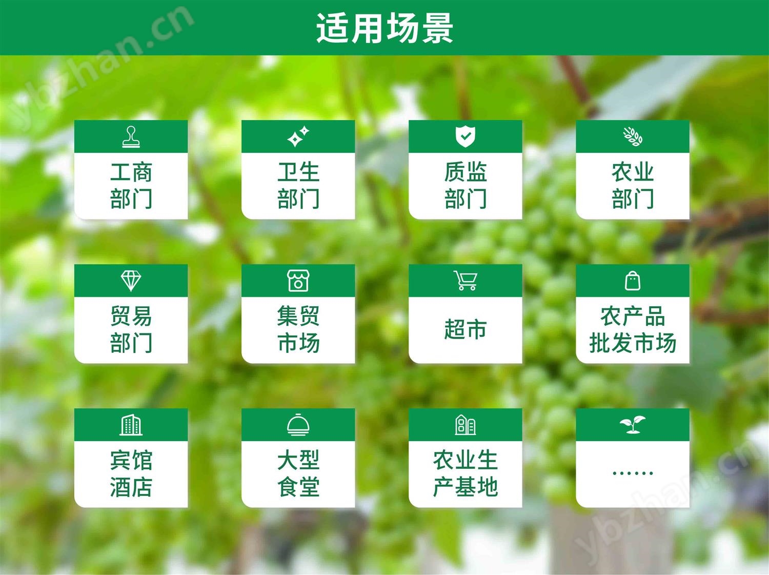 手持農(nóng)藥殘留檢測儀適用場景