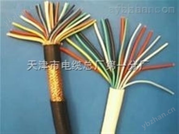 ZR-DJYPVPR22鎧裝阻燃信號計算機電纜-電氣設備用電纜