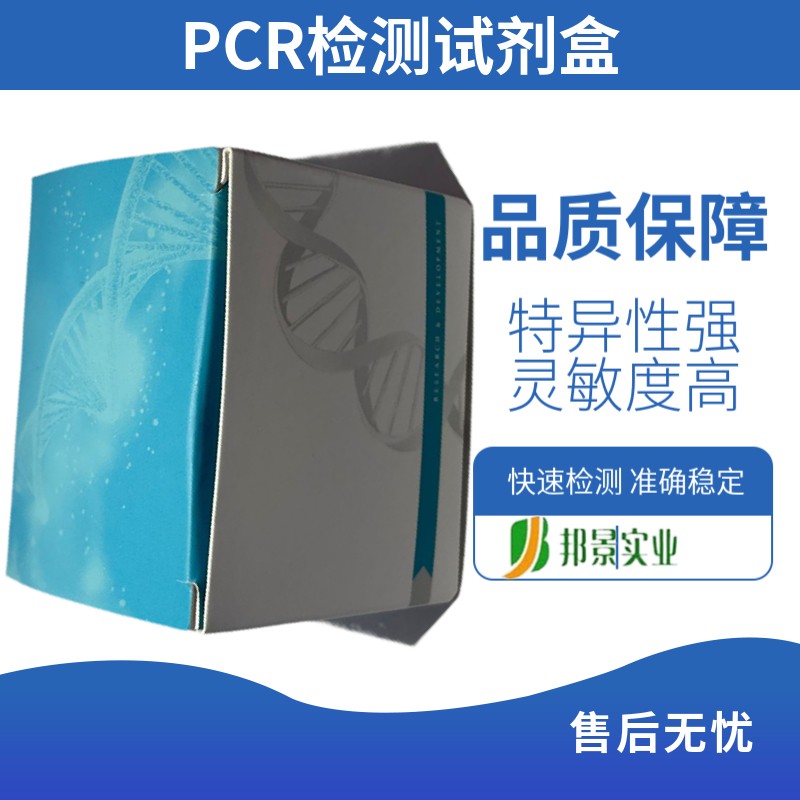 如何避免PCR抗体检测试剂盒中的非特异性扩增