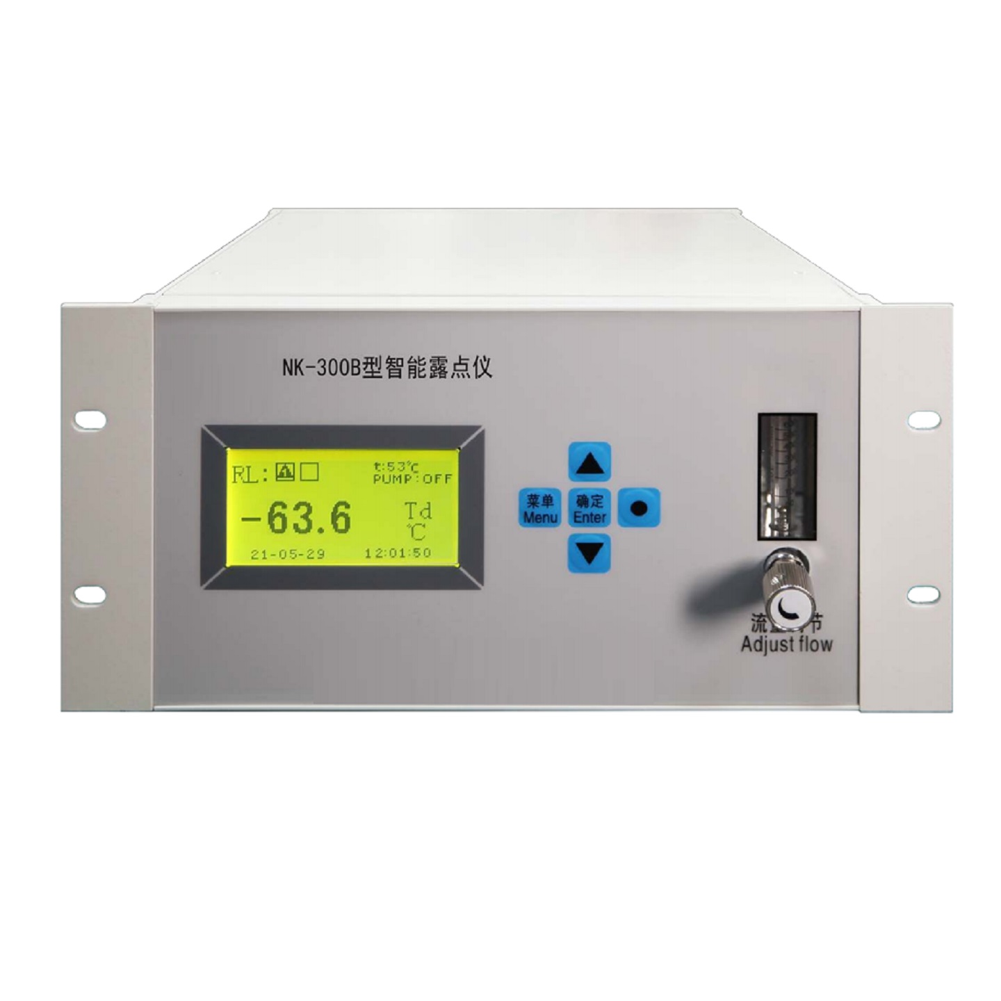 在线式五氧化二磷气体分析仪型号:NK-300A库号:M412849