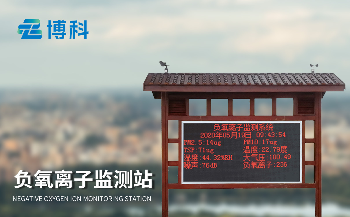 大气负离子监测系统