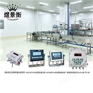 朗科SCS-1防爆電子地磅1噸1.2*1.2m
