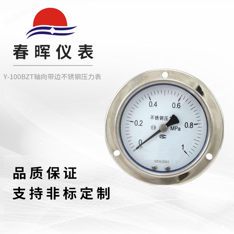 Y-100BZT轴向带边不锈钢压力表
